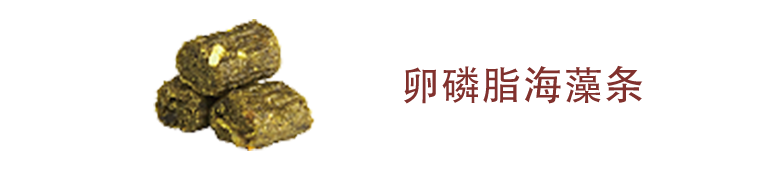 卵磷脂海藻条.png